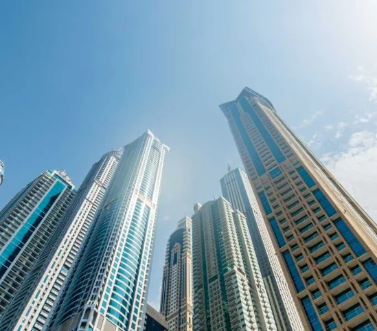 演示案例 – Lorem ipsum dolor sit amet consectetur adipisicing.